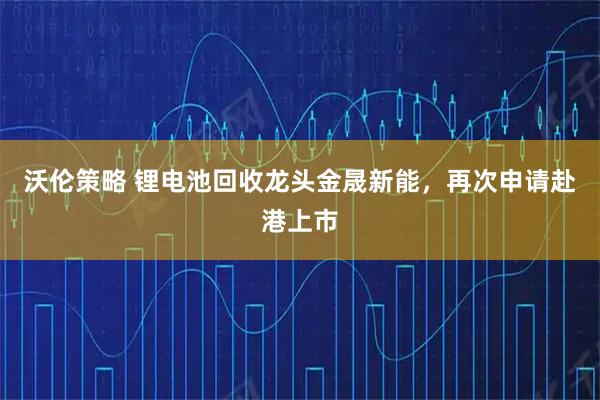 沃伦策略 锂电池回收龙头金晟新能，再次申请赴港上市